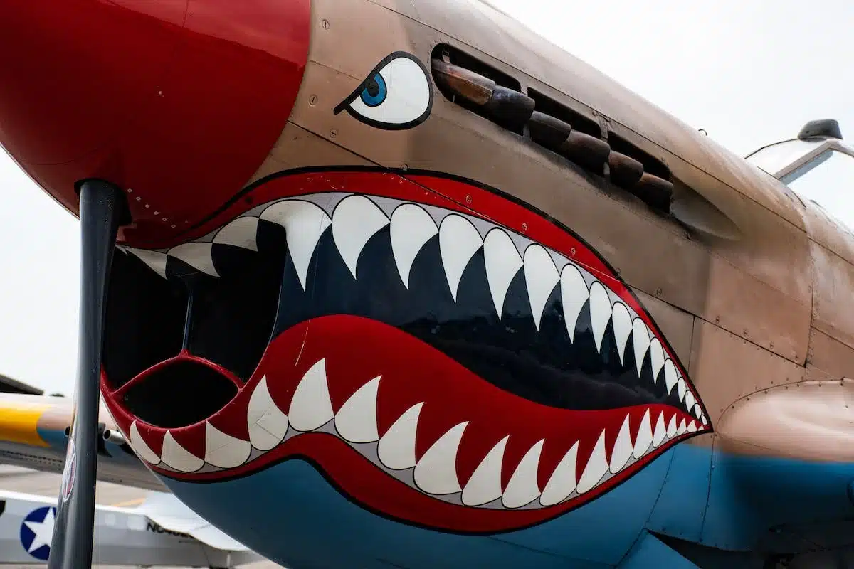 avion  animal
